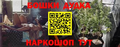 шишки Кингисепп