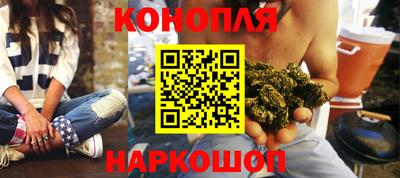 шишки Кингисепп