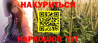 шишки Кингисепп