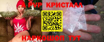 шишки Кингисепп