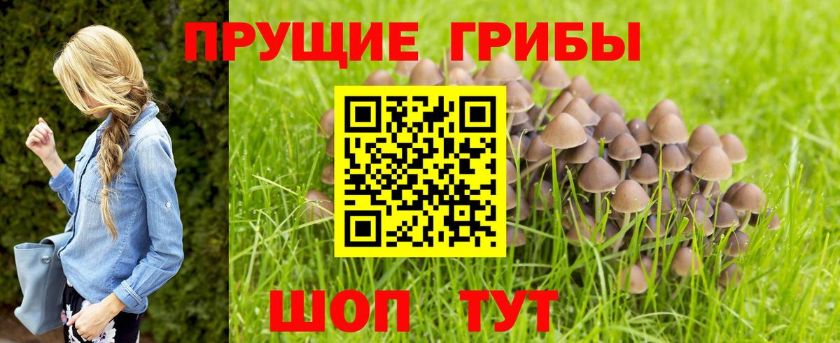 Псилоцибиновые грибы Magic Shrooms Якутск